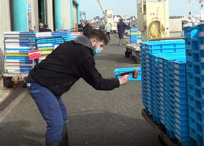 Handheld mobile RFID scanner being used to capture data of fish boxes in harbour