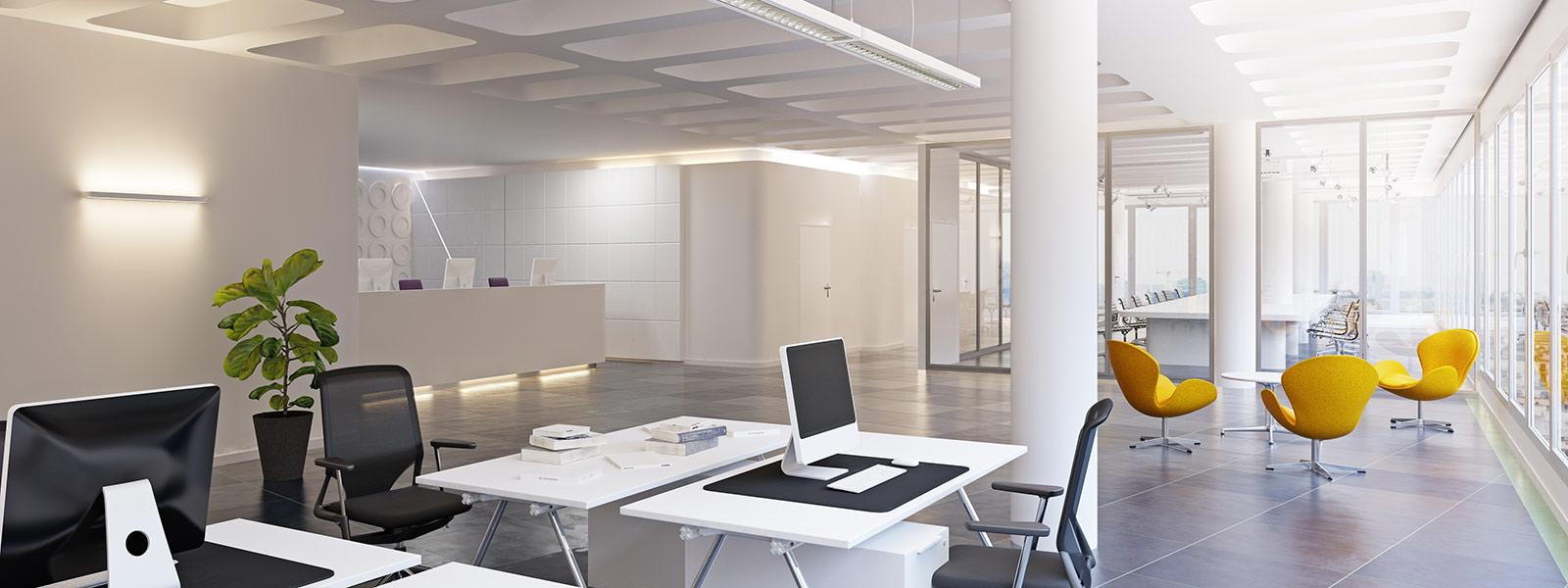 Modern healthy office space