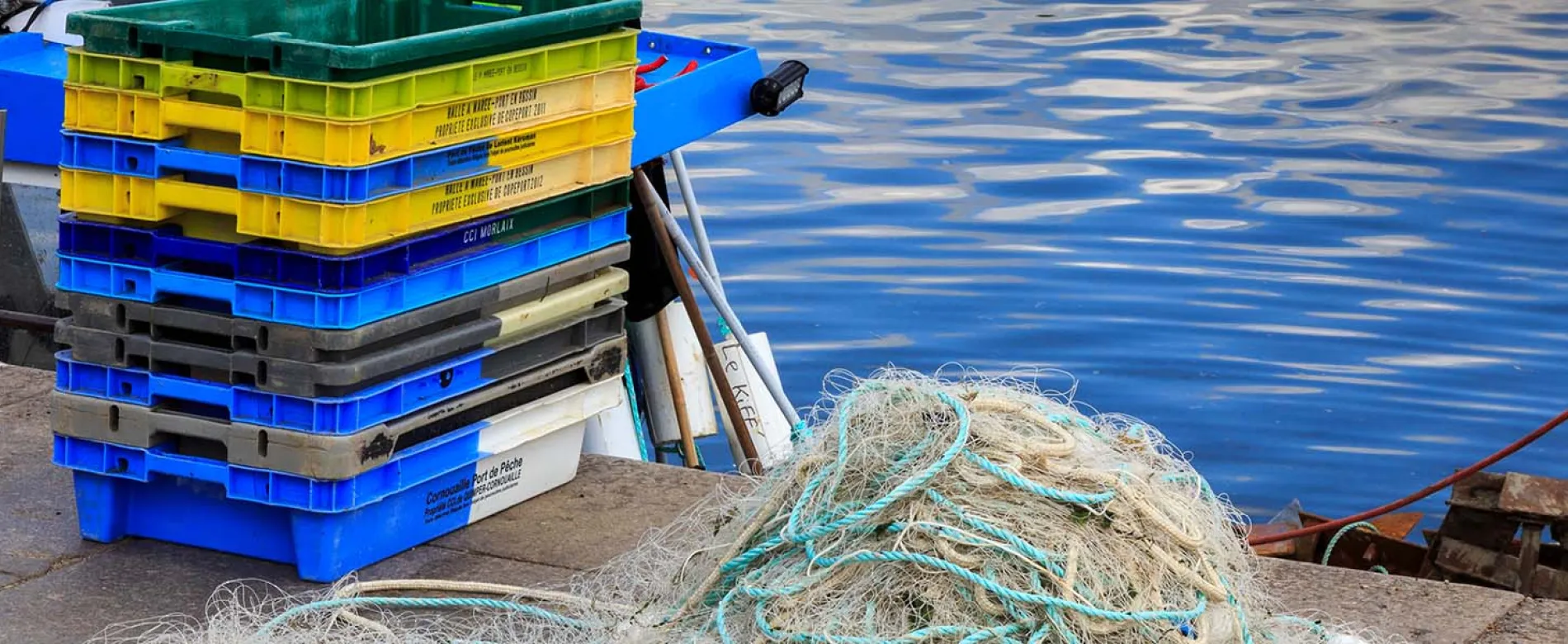 reusable fish trays in harbour