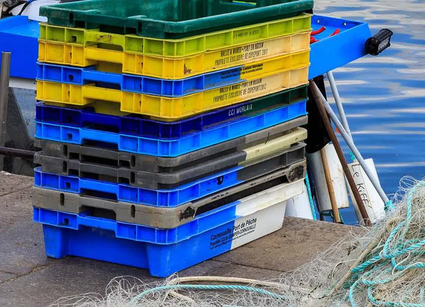 Fish boxes