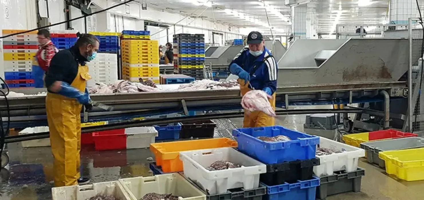 rti tracking in a fish harbour